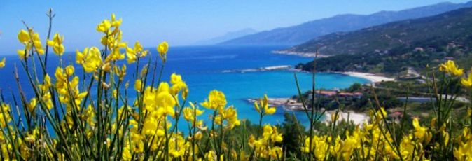 Spring is very different in Greece with wild flowers in bloom before the heat of summer sets in