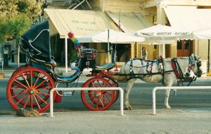 Your tansport awaits! Horse & trap transport on Aegina